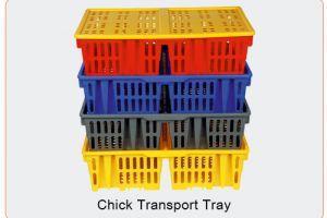 2418667437 breeder battery cage, Layer battery cage, Poultry Equipment, Breeder cage, Layer cage, Quality Systems India