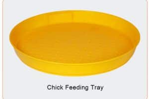 3644091884 breeder battery cage, Layer battery cage, Poultry Equipment, Breeder cage, Layer cage, Quality Systems India