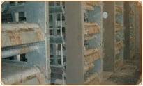 Layer3 Quality system India