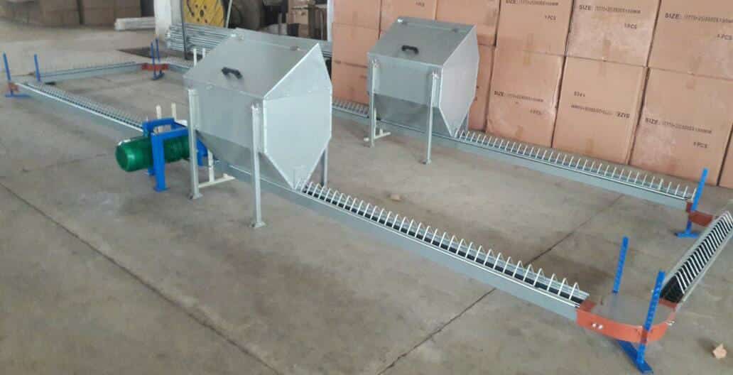 Broiler breeder Pan feeding system dealers in India