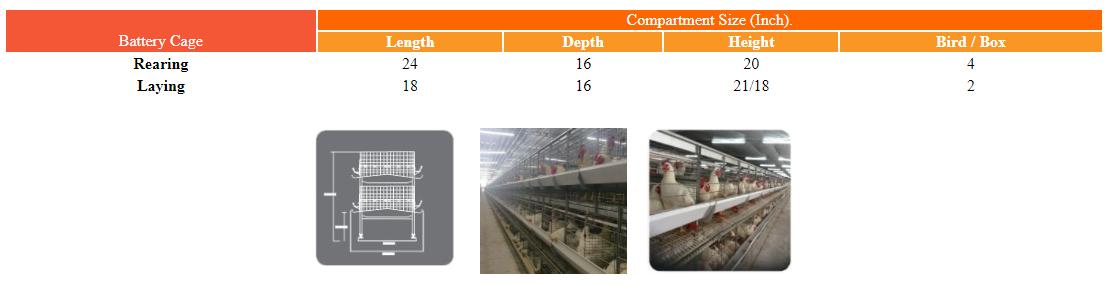 battery cages Broiler breeder Pan feeding system dealers in India