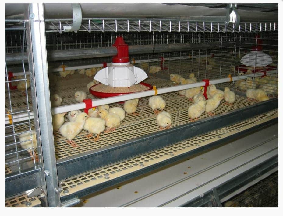 poultry equipment manufacturers in India
