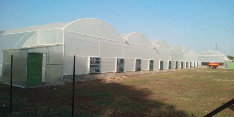 Green House Equipments