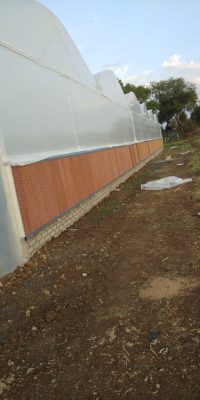 green-house-oxhay1jo5e0sftbiimrnwgfp741zf25xqsb3uk36kg Green House Equipments
